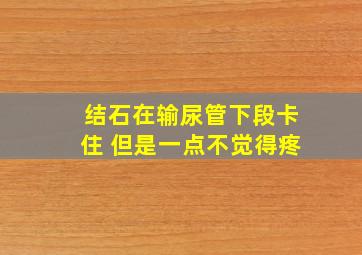 结石在输尿管下段卡住 但是一点不觉得疼